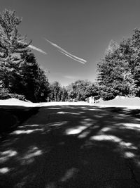 Road amidst trees against sky