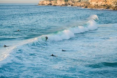 Surfers in the water riding waves at sydney beach