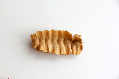 High angle view of bread against white background