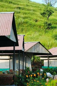 Barn in shed