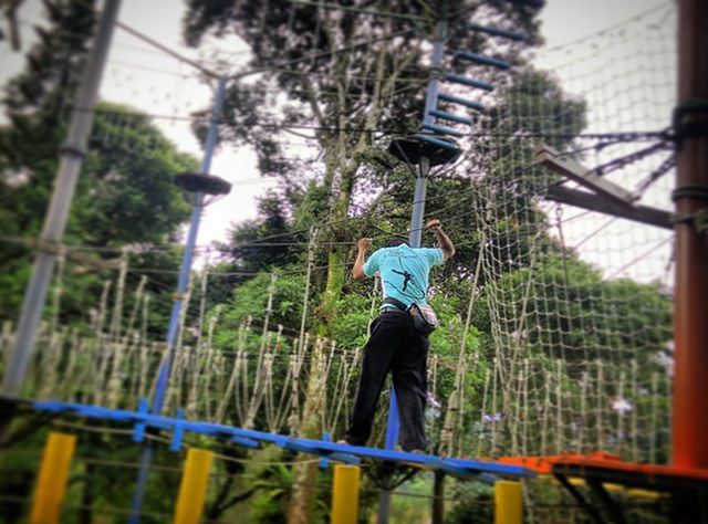 fence, focus on foreground, chainlink fence, protection, safety, metal, leisure activity, lifestyles, railing, tree, childhood, security, rear view, full length, boys, standing, casual clothing, day