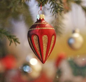 Close-up of christmas decoration hanging on tree