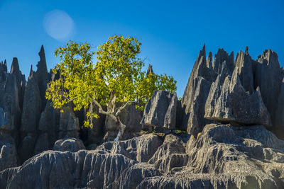 Low angle view of rocks against blue sky