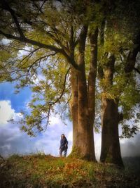 Man standing by tree in forest against sky