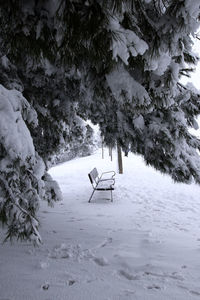 Empty bench on snow covered land