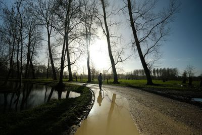 Road amidst trees and plants against sky