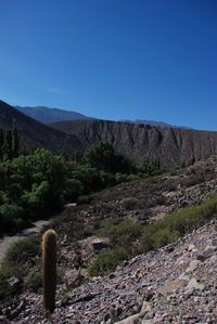 Scenic view of mountains against clear blue sky