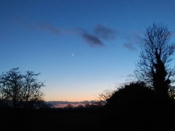 Silhouette trees against sky at night