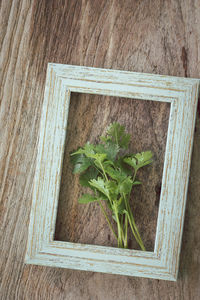 High angle view of vegetables on wooden table