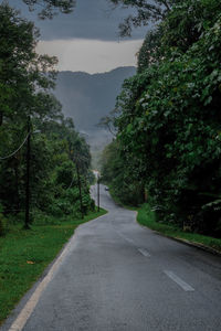 Empty road amidst trees against sky