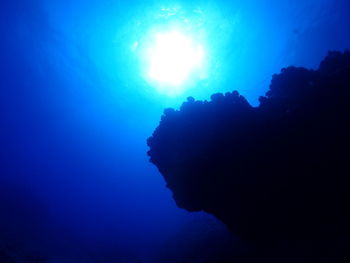 Close-up of silhouette jellyfish swimming in sea