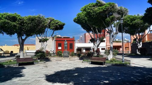 Trees by swimming pool against buildings in city