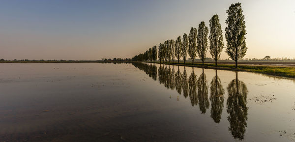 Scenic view of lake against clear sky