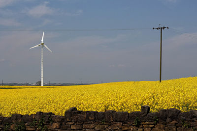 Wind turbines on field against sky