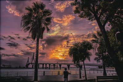 Silhouette palm trees against sky at sunset