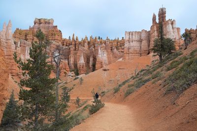 Panoramic view of trees on landscape against sky