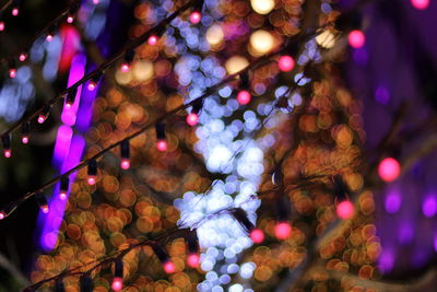 Close-up of illuminated colorful christmas lights at night