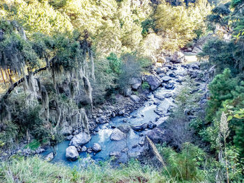 Scenic view of river by trees