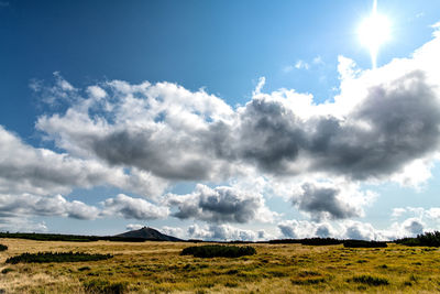 Scenic view of field against sky