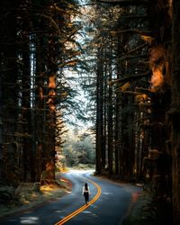 Road amidst trees in forest