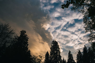 Low angle view of silhouette trees against sky