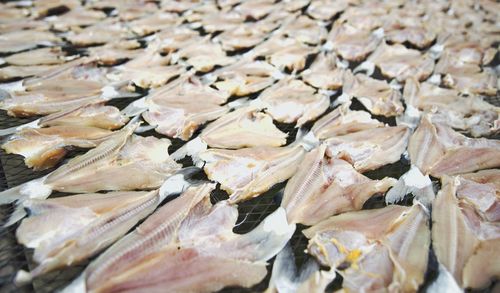 Full frame shot of firewood