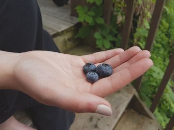 Close-up of hand holding fruit