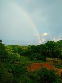 Scenic view of rainbow over trees against sky