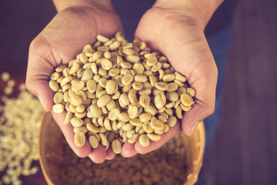 High angle view of hand holding raw coffee beans