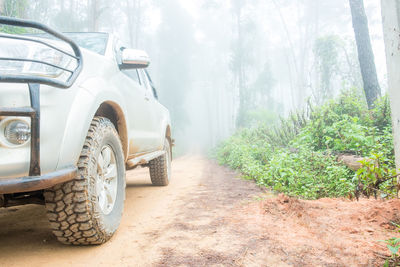 Car on road