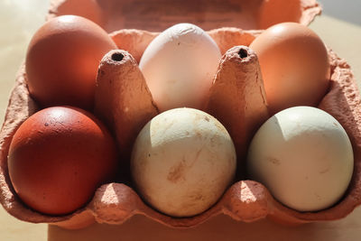 Selective focus view at a box with eggs in brown green and white colors