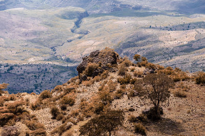 High angle view of arid landscape