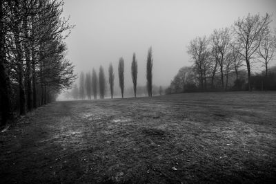 Trees on landscape against clear sky