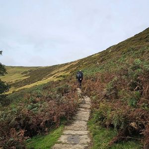 ridge