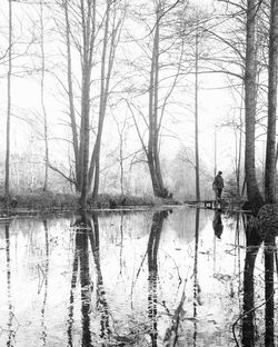 Reflection of bare trees in lake against sky