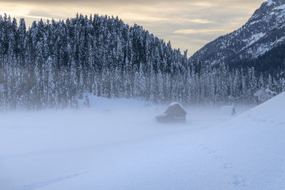 Snow covered land and trees against sky