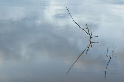 Close-up of reflection in lake against sky
