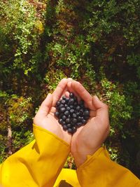 Close-up of hand holding fruit against trees