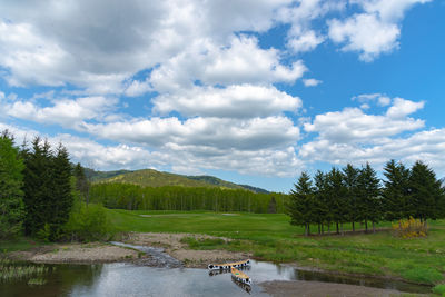 Scenic view of river amidst trees against sky