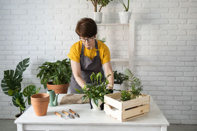 Rear view of woman holding potted plant