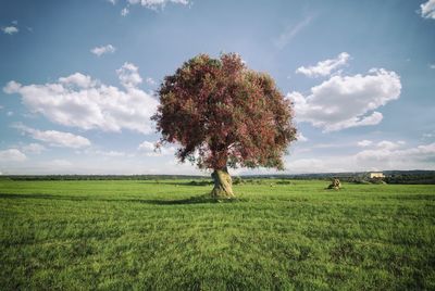 Scenic view of field against cloudy sky