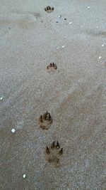 High angle view of footprints on sand at beach