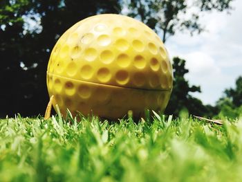 Close-up of golf ball on grassy field