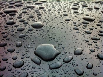 Full frame shot of raindrops on window