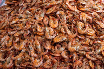 Dry shrimp for sale at the famous and grandiose são joaquim fair in salvador, bahia, brazil.