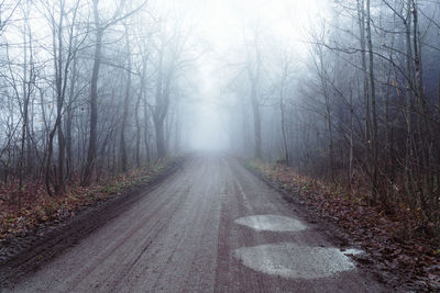 Road amidst trees in forest