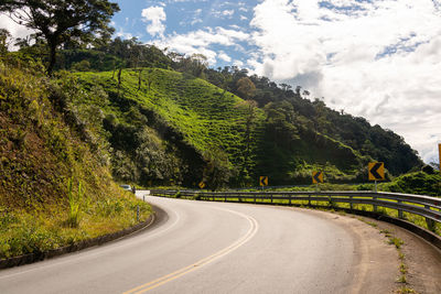 Road amidst trees against sky