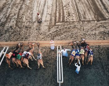 Group of people on the floor