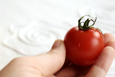 Close-up of hand holding tomatoes