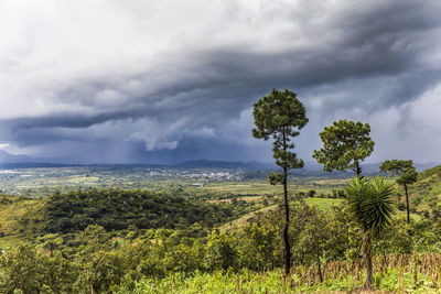 Lush hillside landscape in guatemala.